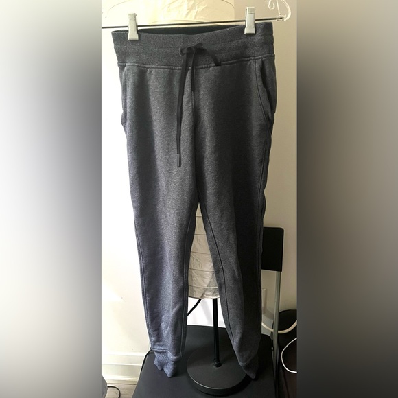 NWOT WOMENS LULULEMON WARM DOWN JOGGER IN HEATHERED CORE GRAY SIZE 4 - Picture 5 of 10